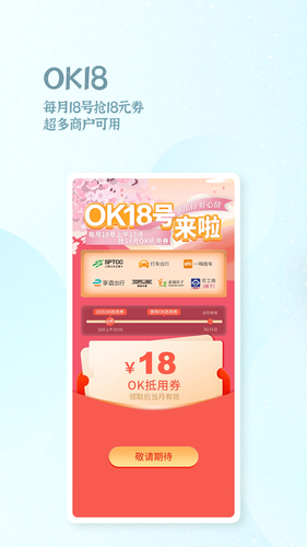 OK支付第5张手机截图