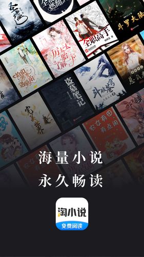 淘小说第1张手机截图